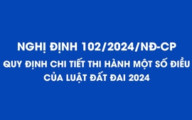 TOÀN VĂN: Nghị định 102/2024/NĐ-CP quy định chi tiết thi hành một số điều của Luật Đất đai