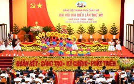 Cần Thơ: Từ tháng 12/2024, tổ chức Đại hội chi bộ trực thuộc đảng bộ cơ sở