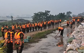 HỎA TỐC đảm bảo an toàn đê điều trước lũ đặc biệt lớn trên sông Cầu, sông Thương, sông Cà Lồ