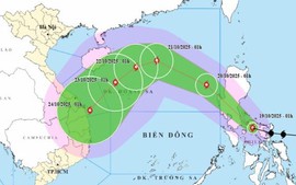 Tin mới nhất về BÃO FENGSHEN (Bão số 12) và các chỉ đạo ứng phó