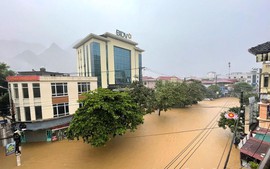 Công điện số 183/CĐ-TTg: Tập trung khắc phục nhanh hậu quả bão số 10 và mưa lũ