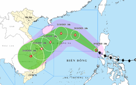 Chuyên gia cảnh báo MƯA RẤT TO, kéo dài trong nhiều ngày tới