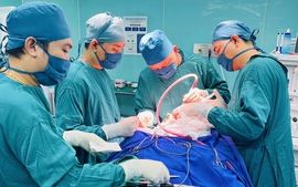 Sắp xếp, sáp nhập cơ sở y tế, thành lập Bệnh viện khu vực, trạm y tế xã, phường, đặc khu