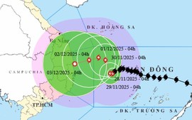 CẬP NHẬT: Tin BÃO SỐ 15 (bão KOTO), ÁP THẤP NHIỆT ĐỚI và các chỉ đạo ứng phó