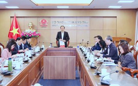 Cấp bách sắp xếp mạng lưới cơ sở giáo dục