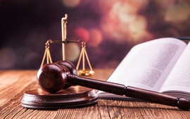 CHÍNH SÁCH NỔI BẬT về TIỀN LƯƠNG, GIẢM THUẾ, BẢNG GIÁ ĐẤT... có hiệu lực từ 1/1/2026