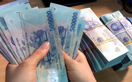 Chế độ bồi dưỡng thành viên Ủy ban Cạnh tranh Quốc gia; người tiến hành tố tụng cạnh tranh, giám định, phiên dịch, làm chứng