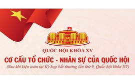 CƠ CẤU, NHÂN SỰ CÁC CƠ QUAN QUỐC HỘI KHÓA XV