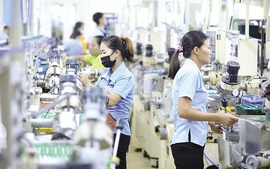Thiết kế chính sách cần thông thoáng tạo điều kiện cho doanh nghiệp phát triển, tăng về số lượng, nâng cao chất lượng