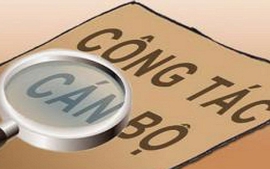 Hướng dẫn đánh giá cán bộ, công chức, viên chức để sắp xếp tổ chức bộ máy