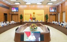 Đề xuất sửa đổi, bổ sung 7 luật về đầu tư, tài chính, ngân sách để sắp xếp bộ máy chính quyền địa phương