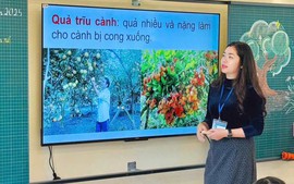 Quyết định 1137/QĐ-BGDĐT: Thủ tục xét thăng hạng giáo viên tiểu học hạng II