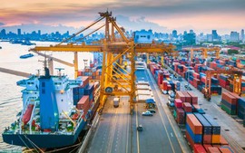 Kinh tế quý I/2025: Đổi mới tư duy, chủ động tháo gỡ khó khăn, nắm bắt cơ hội thúc đẩy tăng trưởng kinh tế