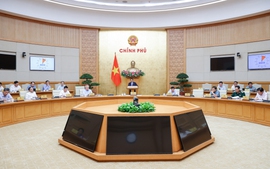 Chính phủ chỉ đạo quyết liệt tinh gọn, sắp xếp bộ máy, tổ chức lại đơn vị hành chính các cấp