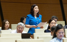 Kiến nghị nâng thời gian miễn thuế thu nhập doanh nghiệp; thuế thu nhập cá nhân