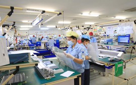 Nghị quyết 198/2025/QH15: Không được áp dụng hồi tố xử lý bất lợi cho doanh nghiệp, hộ kinh doanh