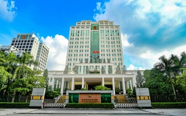 Định hướng sắp xếp Chi nhánh Văn phòng đăng ký đất đai, chi cục thuộc Sở NNMT; bố trí hạt, trạm