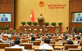 Đề xuất thí điểm Viện kiểm sát nhân dân khởi kiện vụ án dân sự để bảo vệ nhóm dễ bị tổn thương, lợi ích công