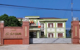 Tạm đình chỉ Chủ tịch UBND xã