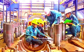 Hình thành và phát triển nhanh các tập đoàn kinh tế tư nhân tầm cỡ khu vực và toàn cầu