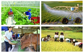 Từ 1/7: Tổng điều tra nông thôn, nông nghiệp năm 2025