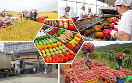 Chủ động ứng phó với các tác động từ bất ổn thương mại, bảo đảm ổn định sản xuất, tiêu thụ nông lâm thủy sản