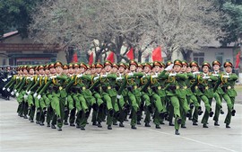 Dự kiến sửa đổi, bổ sung 10 luật liên quan đến lực lượng Công an để phù hợp sắp xếp bộ máy