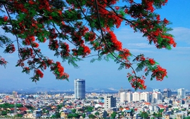 SẮP XẾP ĐVHC: Danh sách 114 xã, phường, đặc khu của thành phố Hải Phòng