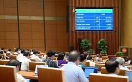 Thông qua Luật sửa đổi, bổ sung một số điều của 5 luật thuộc lĩnh vực tư pháp
