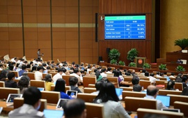 Thông qua Luật sửa đổi, bổ sung Luật Ban hành văn bản quy phạm pháp luật