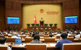 Thông qua Luật sửa đổi, bổ sung một số điều của Bộ luật Hình sự