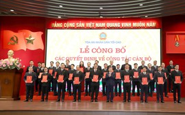 SẮP XẾP BỘ MÁY: Điều động, bổ nhiệm 29 tân Chánh án