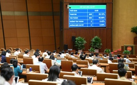 Quốc hội thông qua Luật Thanh tra (sửa đổi)