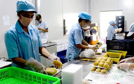 Đề xuất miễn, giảm thuế thu nhập doanh nghiệp