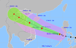 CẤP BÁCH ỨNG PHÓ BÃO SỐ 10 (BÃO BUALOI)
