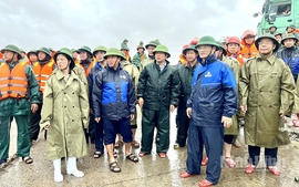 NINH BÌNH: HUY ĐỘNG TOÀN LỰC 'CỨU' ĐÊ BIỂN HẢI THỊNH, KHẮC PHỤC HẬU QUẢ BÃO SỐ 10
