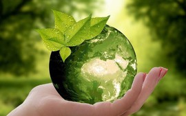 Trách nhiệm của UBND cấp xã trong bảo vệ môi trường