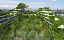 TOÀN VĂN: Nghị định 35/2026/NĐ-CP quy định chi tiết một số điều của Nghị quyết về phân loại đô thị