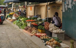 Kiên quyết giải tỏa các "chợ cóc", điểm kinh doanh tự phát trước 30/1/2026