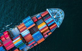 Dự thảo Nghị định quy định biện pháp tổ chức, thi hành Luật Thuế xuất khẩu, nhập khẩu