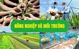 Dự thảo Nghị định Sửa đổi, bổ sung một số điều của các nghị định lĩnh vực nông nghiệp và môi trường