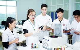 Quy định mới về chế độ làm việc, bổ nhiệm và xếp lương đối với nhân sự hỗ trợ giáo dục đại học