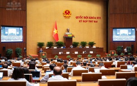 Sửa Luật Chứng khoán: Cải cách thủ tục hành chính, bảo vệ quyền lợi chính đáng của nhà đầu tư