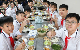 TOÀN VĂN: Dự thảo Thông tư quy định về tổ chức bữa ăn nội trú, bán trú, dịch vụ căng tin trong cơ sở giáo dục mầm non, cơ sở giáo dục phổ thông