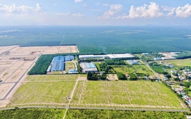Hướng dẫn phân cấp thẩm quyền trong xử lý tài sản sở hữu toàn dân