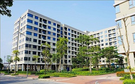 Nghị định số 54/2026/NĐ-CP: Quy định mới về mua, bán, thuê mua, cho thuê, giá nhà ở xã hội