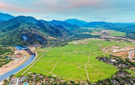 Tập trung sắp xếp đơn vị sự nghiệp; sắp xếp thôn, bản, tổ dân phố, người hoạt động không chuyên trách