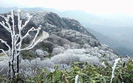 CẬP NHẬT tin KHÔNG KHÍ LẠNH MẠNH, CẢNH BÁO THIÊN TAI và các chỉ đạo ứng phó