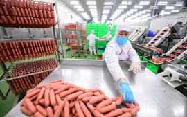 Hệ số điều chỉnh tiền lương, thu nhập tháng đã đóng bảo hiểm xã hội