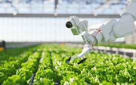 Đề xuất ưu đãi thuế phát triển khu nông nghiệp ứng dụng công nghệ cao